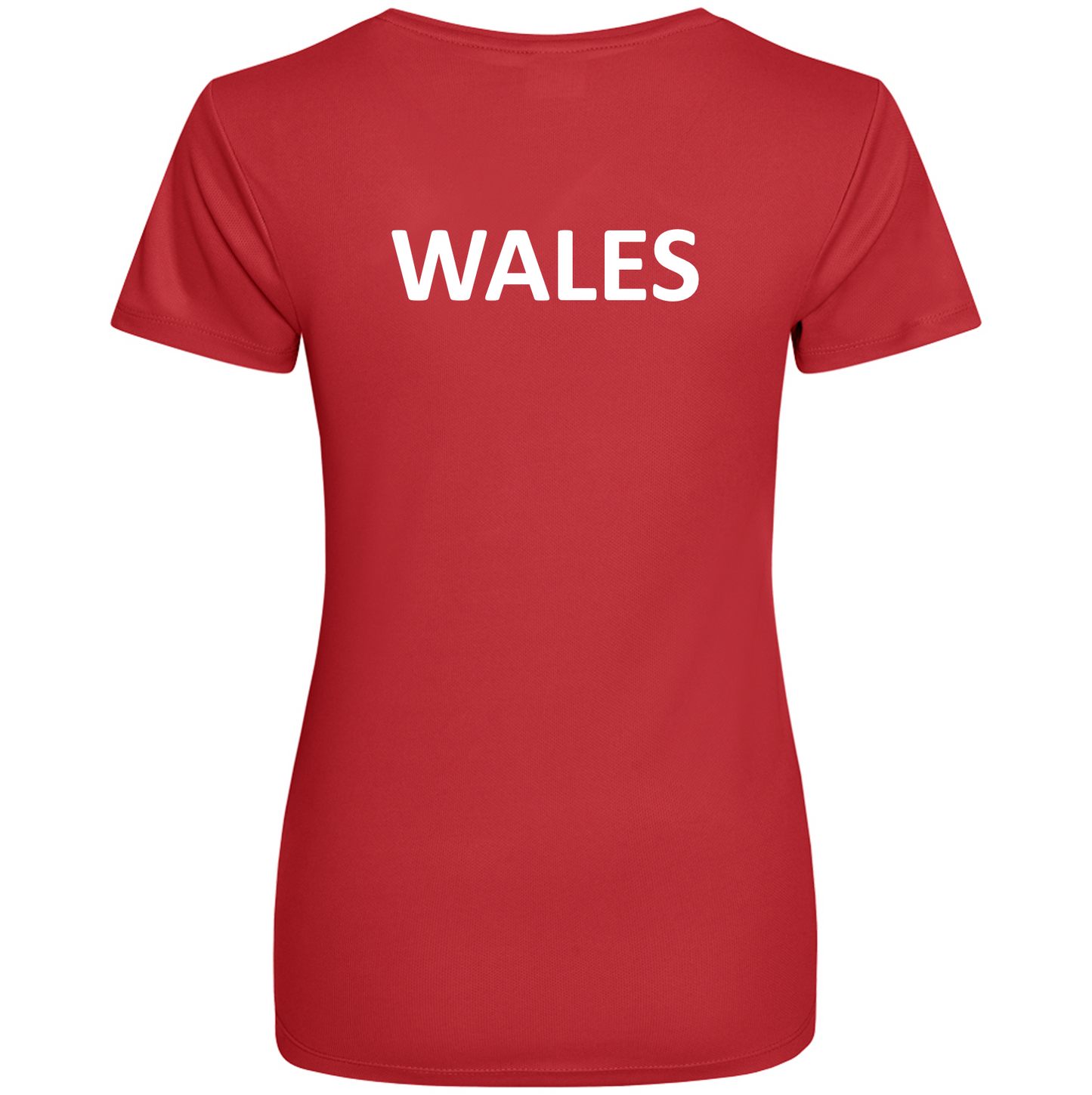 Wales Lacrosse Tech Tee