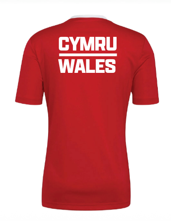 Welsh Judo Adidas Entrada Tee