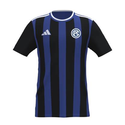 Proline Coaching Academy Adidas Entrada 26 Graphic Jersey