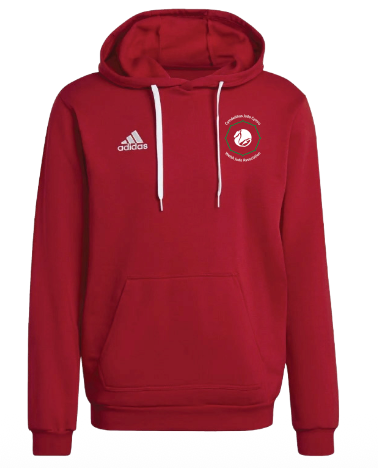 Welsh Judo Adidas Entrada Hoodie