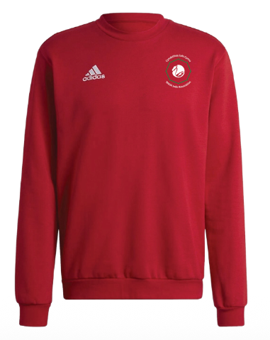 Welsh Judo Adidas Entrada Sweatshirt